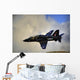 Hawk T1 Trainer Aircraft Wall Decal
