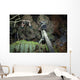 British Army Sniper Team Wall Decal Design 2