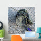Bowman Radio Set Used Wall Decal