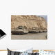 Israeli Defense Force Merkava Wall Decal