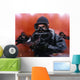 Navy Divers Training Reconnaissance Wall Decal