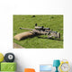 British Army Arctic Warfare Wall Decal