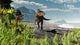 Acrocanthosaurus Roams Early Cretaceous Wall Decal