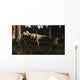 Albertosaurus Sarcophagus Wanders Prehistoric Wall Decal