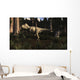 Albertosaurus Sarcophagus Wanders Prehistoric Wall Decal