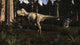 Albertosaurus Sarcophagus Wanders Prehistoric Wall Decal