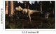 Albertosaurus Sarcophagus Wanders Prehistoric Wall Decal