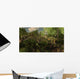 Yangchuanosaurus Spies Group Mamenchisaurus Wall Decal