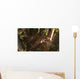 Dimorphodon Pterosaur Chasing Insect Wall Decal