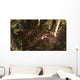 Dimorphodon Pterosaur Chasing Insect Wall Decal
