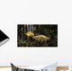 Acrocanthosaurus Hunting Tenontosaurus Forest Wall Decal