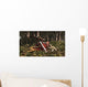 Deinonychus Coloborhynchus Birds Feed Wall Decal