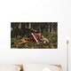 Deinonychus Coloborhynchus Birds Feed Wall Decal