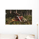 Deinonychus Coloborhynchus Birds Feed Wall Decal
