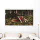 Deinonychus Coloborhynchus Birds Feed Wall Decal