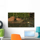 Ceratodus Lungfish from Early Wall Decal