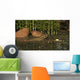 Ceratodus Lungfish from Early Wall Decal