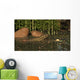 Ceratodus Lungfish from Early Wall Decal