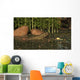 Ceratodus Lungfish from Early Wall Decal