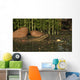 Ceratodus Lungfish from Early Wall Decal