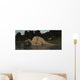 Spinosaurus Hunting for Fish Wall Decal
