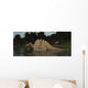 Spinosaurus Hunting for Fish Wall Decal