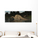 Spinosaurus Hunting for Fish Wall Decal