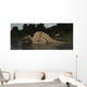 Spinosaurus Hunting for Fish Wall Decal