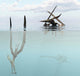 Pteranodon Pterosaur Diving Underwater Wall Decal