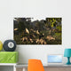 Various Dinosaurs Hell Creek Wall Decal