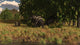 Arctodus Approaches Pair Eremotherium Wall Decal