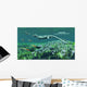 Cymbospondylus Very Large and Wall Decal
