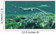 Cymbospondylus Very Large and Wall Decal