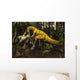 Herrerasaurus Early Dinosaur Attacks Wall Decal