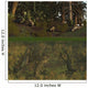 Placodus Reptiles Rest Shore Wall Decal