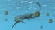 Tylosaurus Tries to Feed Wall Decal