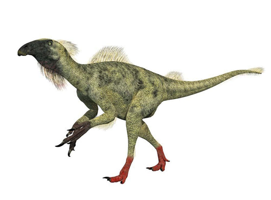 Beipiaosaurus Feathered Walking Dinosaur Wall Decal