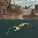 Pterodactylus Flying over Dakosaurus Wall Decal