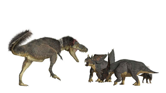 Daspletosaurus Attacking Group Chasmosaurus Wall Decal