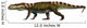 Prestosuchus Archosaur from Middle Wall Decal
