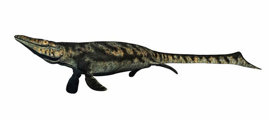 Tylosaurus Aquatic Reptile from Wall Decal
