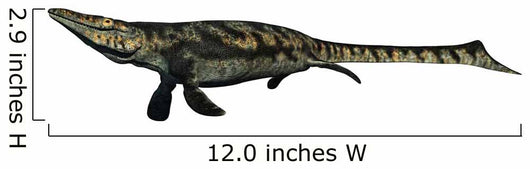 Tylosaurus Aquatic Reptile from Wall Decal