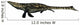 Tylosaurus Aquatic Reptile from Wall Decal