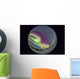 Fish-eye Lens Northern Lights Wall Decal Design 2