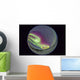 Fish-eye Lens Northern Lights Wall Decal Design 2