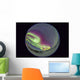 Fish-eye Lens Northern Lights Wall Decal Design 2