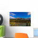 Star Trails above Front Wall Decal