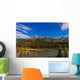 Star Trails above Front Wall Decal