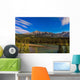 Star Trails above Front Wall Decal