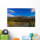 Star Trails above Front Wall Decal